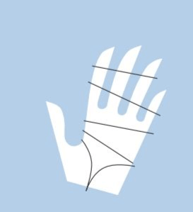 Dominique Sauge Treuhand